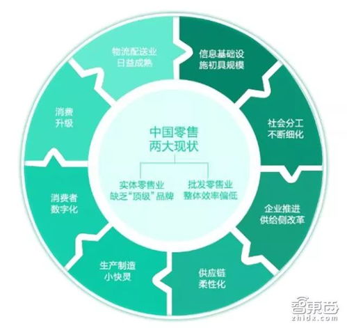 系统广告，重塑数字营销新生态的驱动力