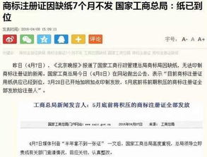 广告联盟评测网，揭秘真相，助你精准选择