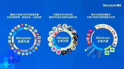 中易广告联盟系统，重塑数字营销新生态