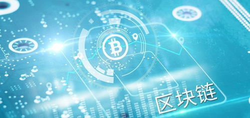 中华广告网，探索数字时代下的广告新生态