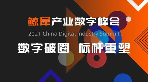 极限广告联盟，重塑数字营销版图，引领未来广告趋势