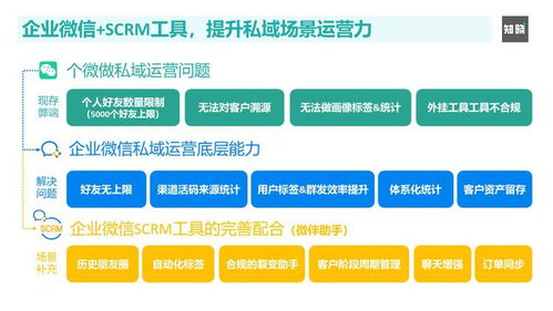 58广告联盟，打造高效营销渠道，引领数字时代广告新风尚