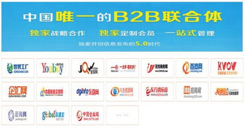 中易广告联盟，打造高效广告平台，助力企业精准营销