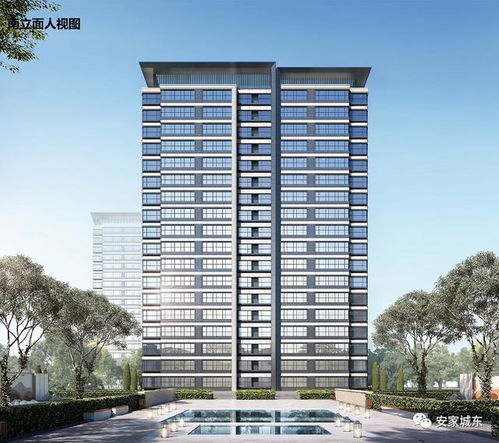 探索QQ群盟，数字时代下的社群构建与影响