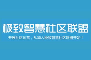 免费广告联盟，解锁低成本高效营销的新篇章