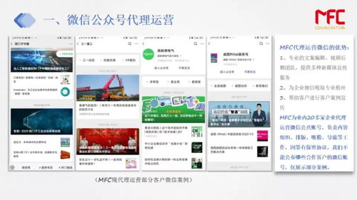 广告联盟评测网，揭秘高效广告联盟，助力企业精准营销