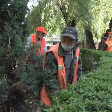 好站长广告联盟，打造高效精准广告投放的秘诀