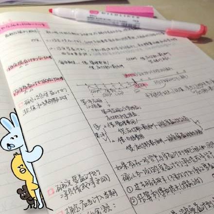 揭秘X档案CPA联盟，一场数字时代的会计变革与机遇