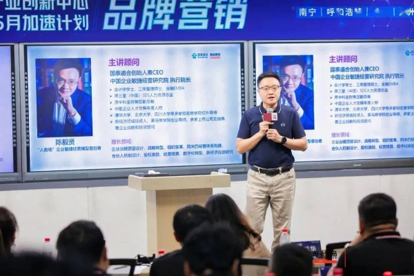 新黑马广告联盟，重塑数字营销新生态的领航者