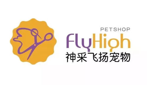 美瑞联盟，重塑全球贸易格局的跨国合作典范