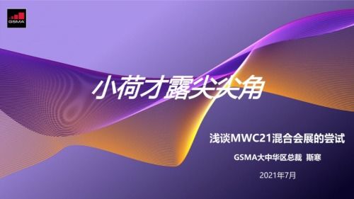 多比流量站，解锁数字时代的数据洪流与机遇