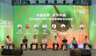 巨人网络传媒，重塑传媒生态，引领数字时代新风尚