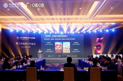 视点联盟，重塑媒体生态，共筑内容新纪元