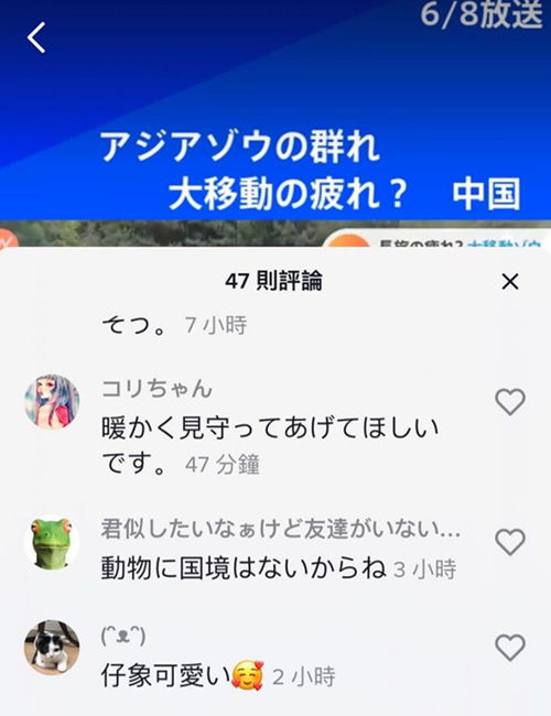 救护神联盟，守护生命的温暖力量