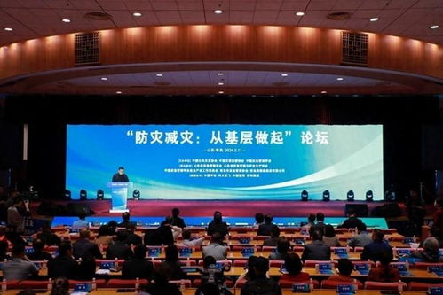 草根联盟，重塑社会基层治理的新力量
