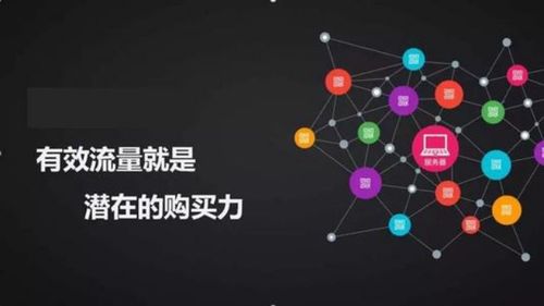 网赢广告联盟，打造高效网络营销的秘诀