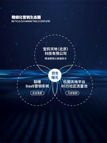 VIP7P广告联盟，打造高效广告投放，助力企业精准营销