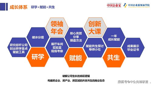 易贷中国广告联盟，打造精准营销，助力企业腾飞