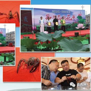互亿联盟，重塑商业生态，共创数字时代共赢新篇章