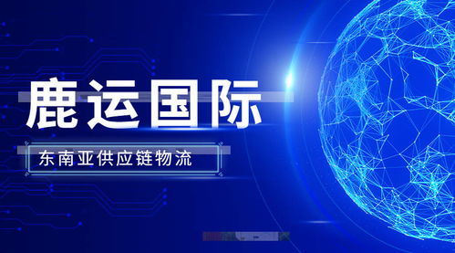 国际链联盟，重塑全球供应链的数字化未来