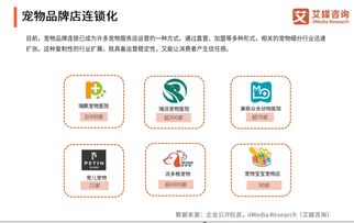 精众联盟，重塑品牌与消费者连接的未来趋势
