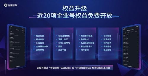 498广告联盟，打造高效广告投放，助力企业营销升级