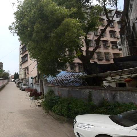 八九广告联盟，打造高效广告合作新生态