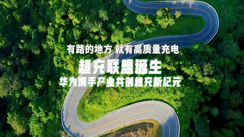 策划联盟，携手共创商业新纪元