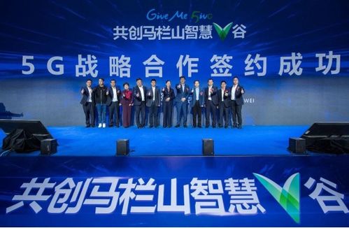 中易联盟，携手共创数字时代文化新篇章