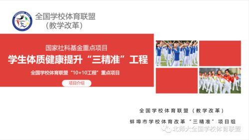 顺通广告联盟，打造高效精准广告投放的秘诀