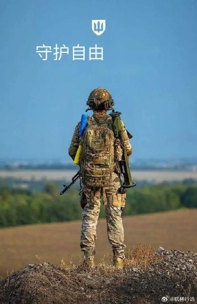 野马联盟，自由之魂与不屈意志的交响曲