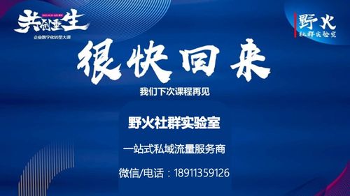 星火广告联盟，点燃数字营销新纪元，共创共赢未来