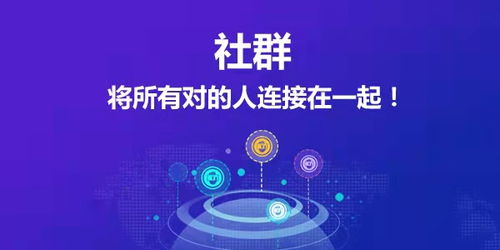 游告联盟，重塑社群互动的新模式