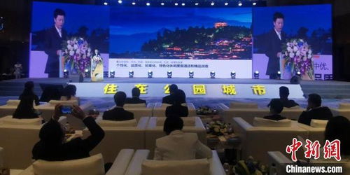 住哪网联酒店分销联盟，重塑酒店业的未来