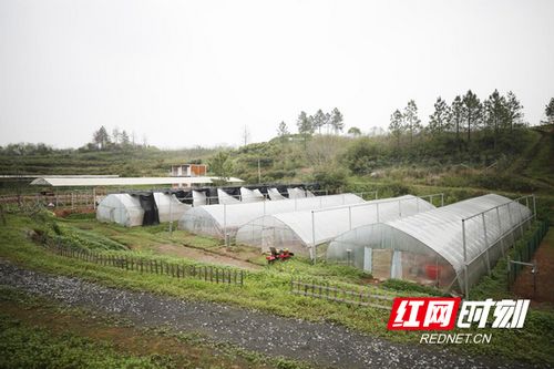 两个牛联盟，重塑农业合作新生态