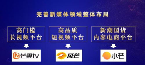 联手网盟，重塑数字时代下的合作生态