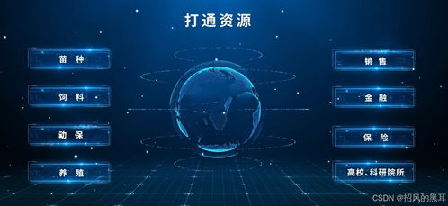 飞狐数据，揭秘大数据时代的智能决策引擎