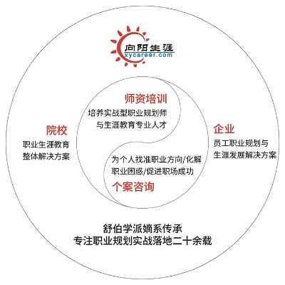 精准领域，解锁个人与职业发展的新钥匙