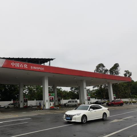 中国第一站长联盟，构建互联网内容生态的领航者