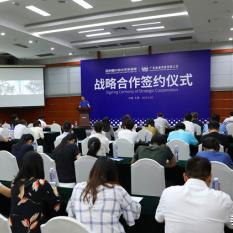 永赢广告联盟，打造全方位精准营销，引领数字时代广告新风尚