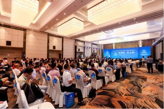 99彩广告联盟，打造精准营销，引领数字广告新时代