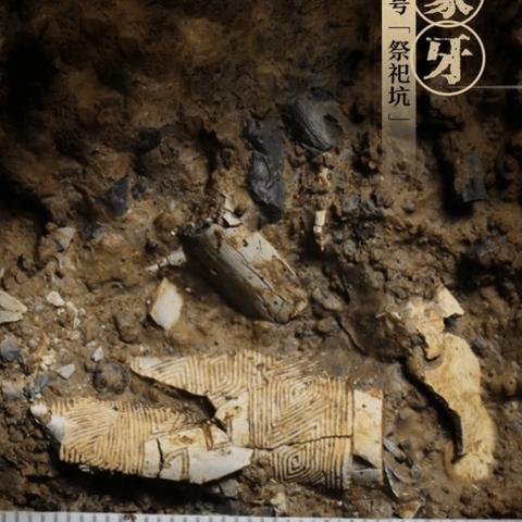 千速广告联盟，打造高效广告投放，引领数字营销新时代