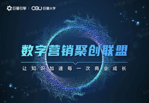 高端广告联盟，重塑数字营销新生态