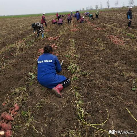 三拐村广告联盟，乡村振兴的新引擎