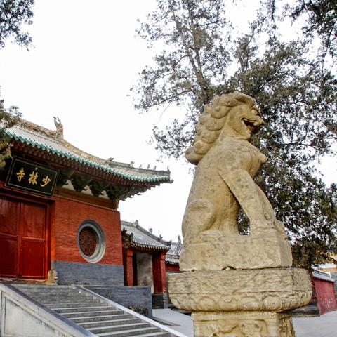 知天下导航联盟，重塑数字时代下的信息导航新生态