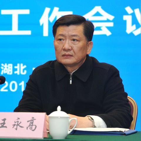91移动广告联盟，重塑移动营销生态，引领数字广告新纪元