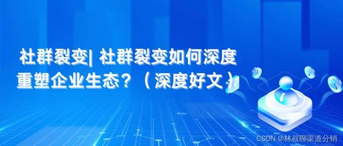 御风网盟，重塑数字时代下的社群互动新生态