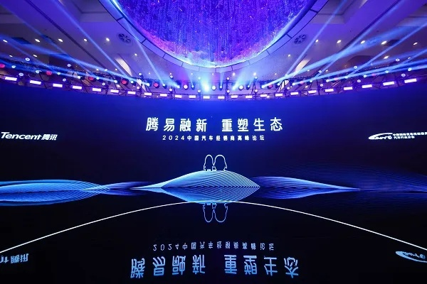 鲸鲨网盟，探索海洋生态与数字经济的交汇点
