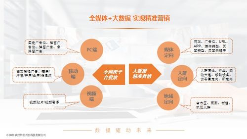 菠萝广告联盟，打造高效广告平台，引领数字营销新风尚