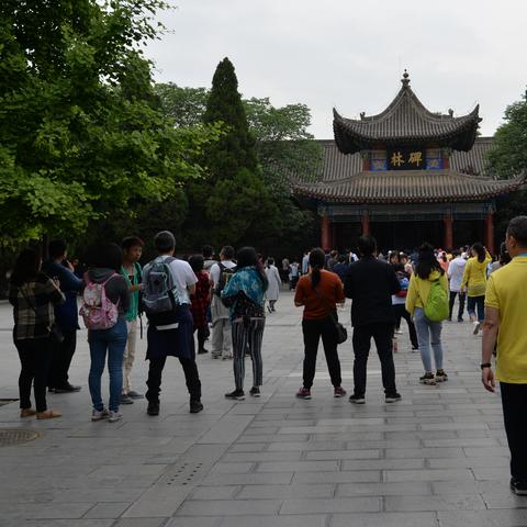 宝库传媒，挖掘文化价值，传承历史记忆